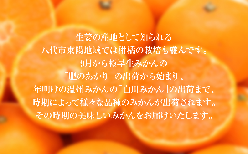 【先行予約】 八代市東陽町産の季節のみかん5kg箱 【2024年9月下旬発送開始】