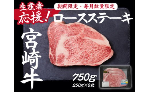 【生産者応援】宮崎牛ロースステーキ750g（250g×3枚 宮崎牛 和牛 国産 牛肉 霜降り ステーキ ロース 冷凍 送料無料）