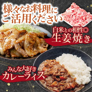 国産豚肉 小分け 小間 切り落とし4kg 500g8パック 真空 個包装 冷凍 新鮮 精肉店 肉屋 直送 厳選　知多豚 レシピ 炒め おかず