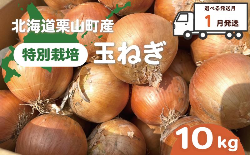 【2027年1月発送】越冬用特別栽培玉ねぎ10kg