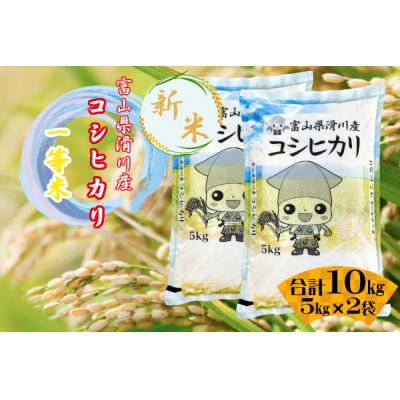 ふるさと納税 滑川市 滑川産コシヒカリ(令和8年産新米/精米)10kg