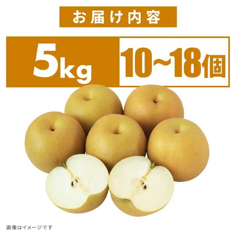 訳あり 柴沼梨園の梨 （ 幸水 ） 梨 5kg 訳あり品 10～18個入り 先行予約 【8月中旬～8月下旬発送】 BX-001