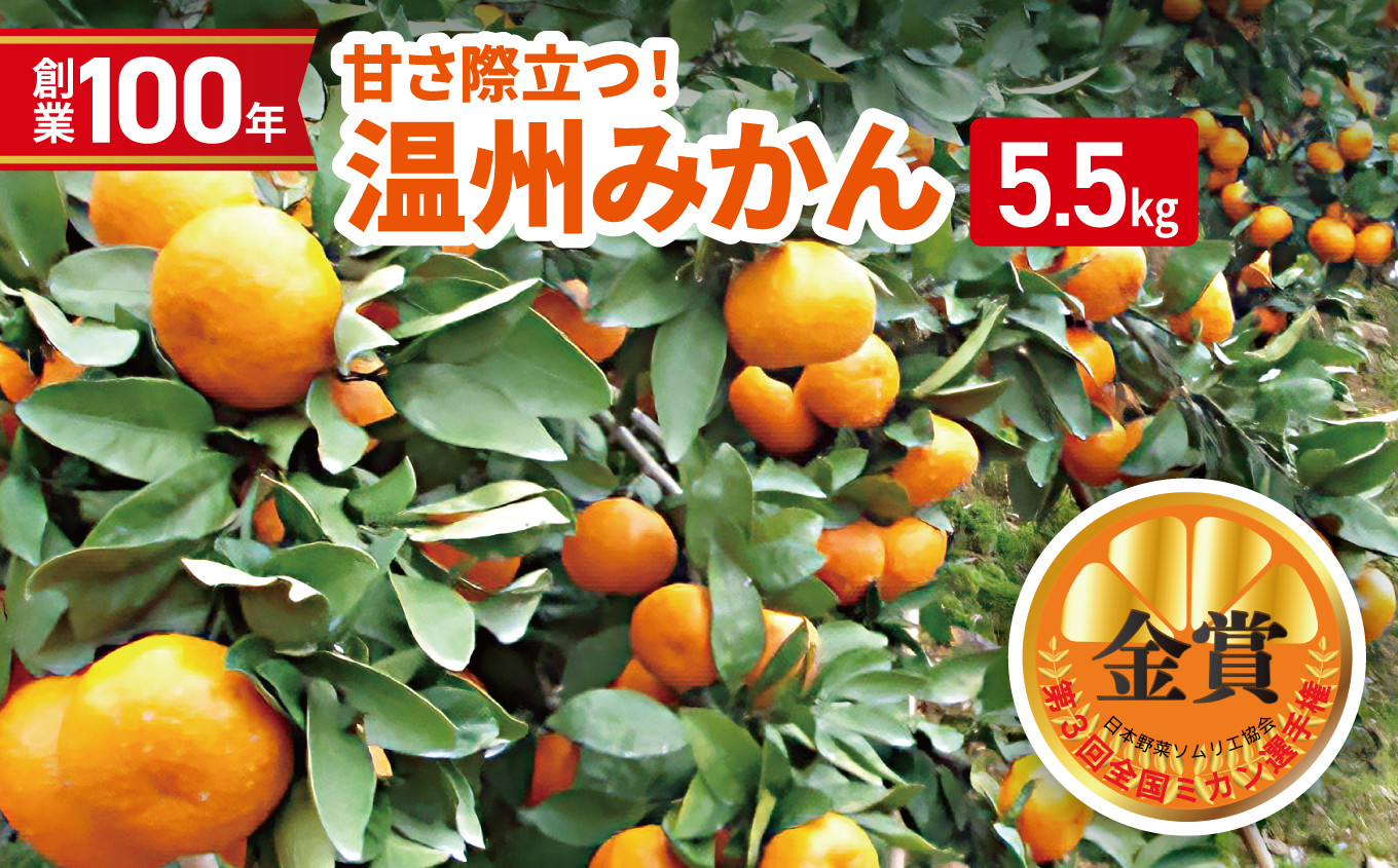 
創業100年 甘さ際立つ！ 温州みかん （くまもと和水町産） | 第3回全国ミカン選手権 金賞受賞 熊本県 和水町 くまもと なごみまち みかん 柑橘 柑橘類 ミカン 5.5kg 1箱
