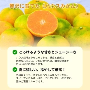 ハウスみかん 2.5kg+250g(傷み補償) 厳選 / ハウスミカン 温室みかん 有田みかん 甘い 和歌山 柑橘 ※7月中旬～8月下旬に順次発送 ※北海道・沖縄・離島への配送不可 【ikd002-p