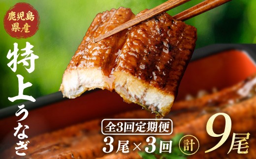 ＜隔月定期便・全3回＞鹿児島県産うなぎ蒲焼 (約186g×3尾×3回) 鰻 ウナギ うなぎ【薩摩川内鰻】 T91