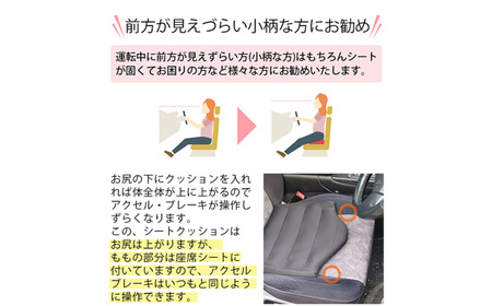 レッド レギュラー シートクッション erinoa No.576-03