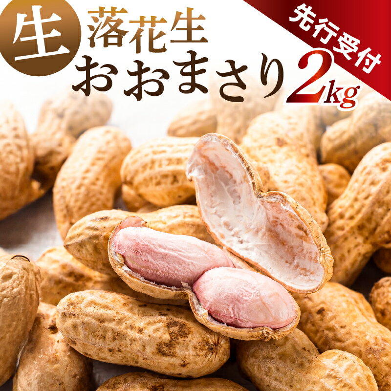 【ふるさと納税】【先行受付 2025年8月下旬～9月下旬発送予定】南房総市産 生落花生おおまさり 2kg 千葉県 南房総市 落花生 おおまさり ピーナッツ 甘み ホクホク おつまみ 晩酌 おやつ 大粒 送料無料