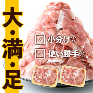 i1062 九州産 豚コマ切れ肉(500g×2P・計1kg) 鹿児島 豚肉 ポーク 小間切れ こま切れ 細切れ 豚汁 炒め物 冷凍 【ナンチク】