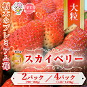 【ふるさと納税】【先行予約】【選べる内容量】スカイベリー 2パック または 4パック | いちご 栃木 スカイベリー 甘い 糖度 旬 新鮮 フルーツ 果物 アレンジ スイーツ いちごジャム フルーツサンド　※離島への配送不可　※2025年1月中旬～3月下旬頃に順次発送予定