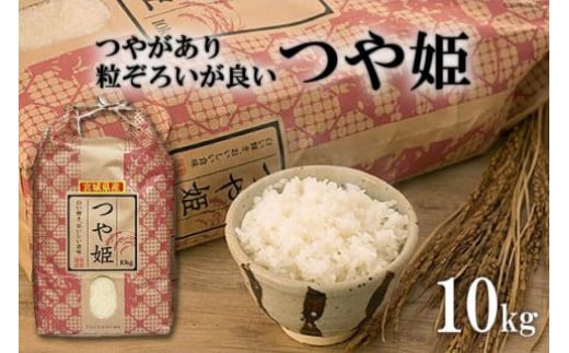 
                  米 宮城県産 つや姫 10kg [菊武商店 宮城県 気仙沼市 20564925] お米 こめ コメ 白米 精米 ブランド米 ご飯 ごはん 小分け 家庭用
                