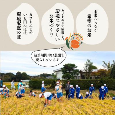 ふるさと納税 矢吹町 令和6年産米 コシヒカリ 【カブトエビと育むやぶきのお米】5kg(1kg×5袋) |  | 02