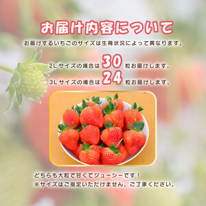 【先行予約 苺】 越後姫3L～2L 24粒 or 30粒  新発田市 苺 sugai002_01