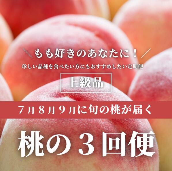 【ふるさと納税】 【2026年先行予約】旬の桃をぜいたくに味わう！上級品の3回便(定期便) (岡山県産)【配送不可地域：離島】【KF-T058-01】/ 桃 もも くだもの 果物 フルーツ 定期便
