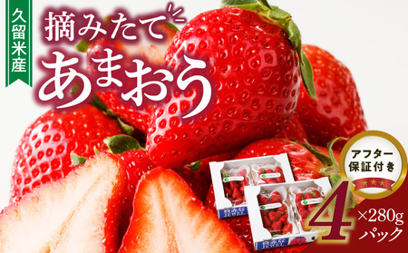 【福岡県久留米市産】摘みたてあまおう4パック_久留米産 摘みたて あまおう いちご 280g × 4 パック 計 1120g 福岡県産 ブランドいちご 果物 春 フルーツ デザート スイーツ ストロベリー 小分け 国産 特産品 冷蔵 お取り寄せ 福岡県 久留米市 株式会社TGファーム 送料無料_Fi067