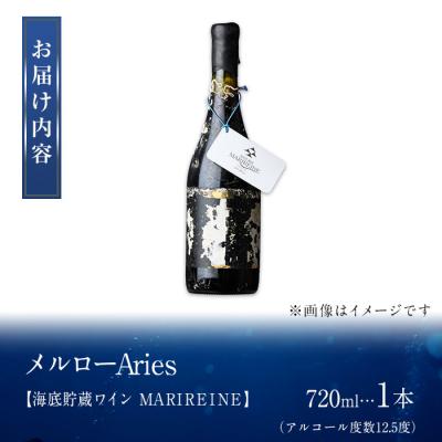 ふるさと納税 佐伯市 海底貯蔵ワイン 赤 MARIREINE メルローAries2023 (720ml・1本) |  | 01