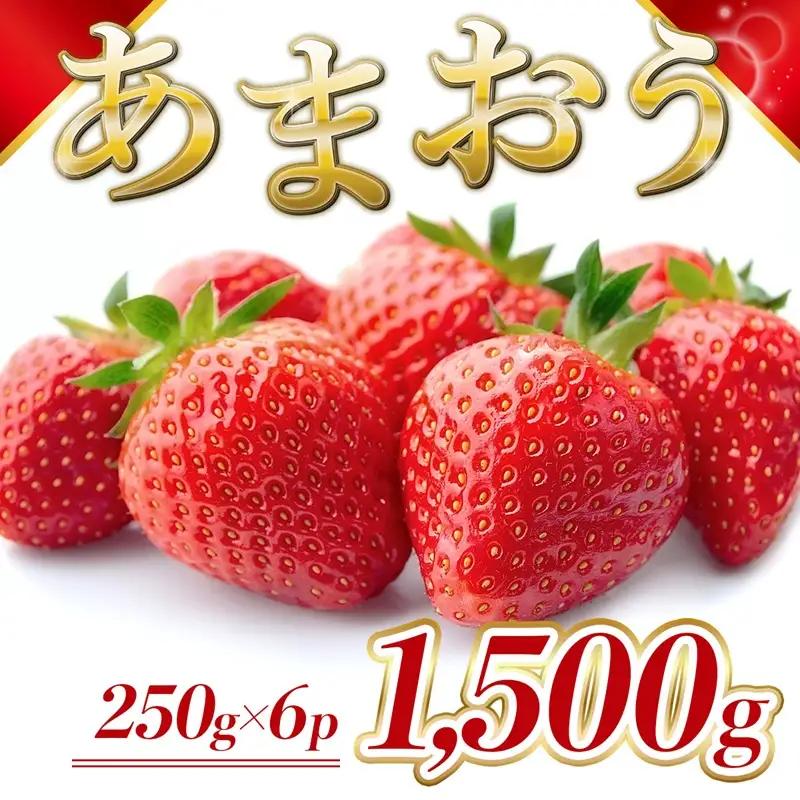 【先行予約】 いちご 福岡県産 あまおう 1500g (250g×6パック) 果物 いちご