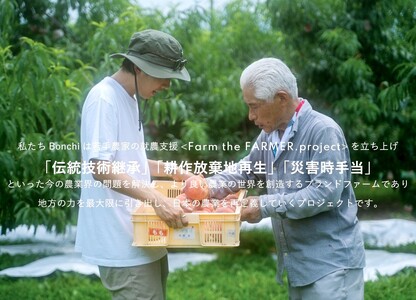 甲州市産 大粒サンシャインレッド 3房入（1房 約630g）自然農法【2026年発送】（BNC）H-425 サンシャインレッド フルーツ