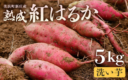 【先行予約】大谷原の熟成さつまいも (5kg 洗い芋) 約25本【2025年10月下旬以降順次発送予定】【入手困難・数量限定】【サツマイモ 芋 イモ 紅はるか べにはるか 熟成 甘い おいしい 国産 産地直送】 [m23-a021]