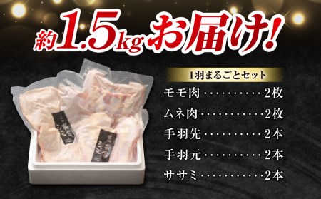 信州黄金シャモ1羽まるごとセット　地鶏