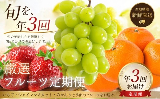 旬の特選フルーツ定期便 (シャインマスカット/イチゴ/みかん) 全3回 フルーツ定期便【数量限定】| 定期便フルーツ 果物 くだもの ぶどう ブドウ 苺 いちご 蜜柑 ミカン 国産 農園直送 産地直送 新鮮 九州 大分県 豊後高田市