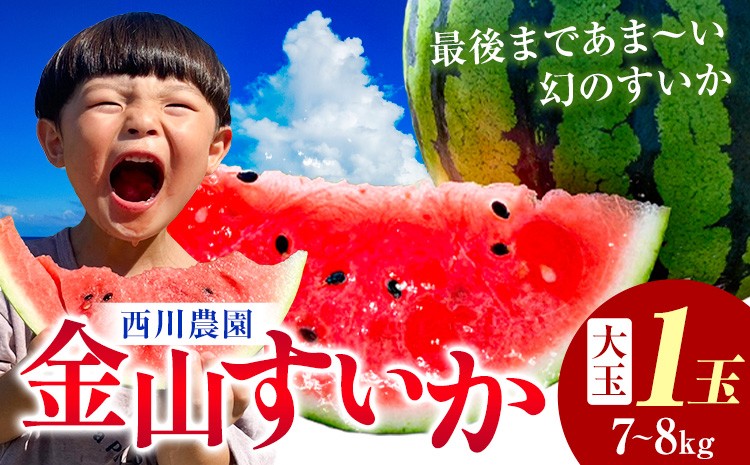 
                  金山すいか 大玉 1玉 西川農園《2027年5月上旬-5月中旬頃出荷》熊本県 荒尾市 スイカ すいか 西瓜 フルーツ 果物 大玉すいか 幻のすいか 1番すいか 
                