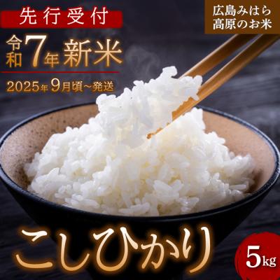 ふるさと納税 三原市 【先行受付】令和7年新米 コシヒカリ 白米5kg 2025年9月頃〜発送 お米 米[220-001]