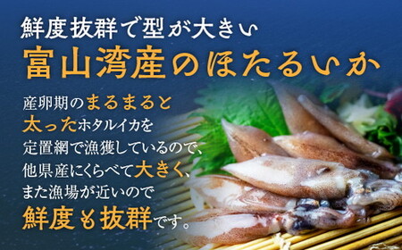 【3か月定期便】ほたるいか 素干し 100枚  おつまみ 肴 ハマオカ海の幸