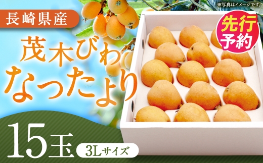 
                  先行予約 茂木 びわ 『なつたより』 3Lサイズ 15玉 入り 【2027年5月下旬-6月上旬発送予定】／ 果物 くだもの フルーツ 枇杷 ビワ 長崎県 長崎市 川口農園 アフター保証
                