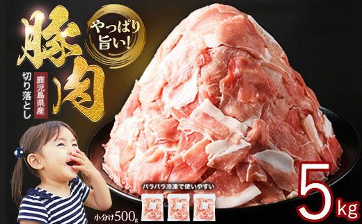 《訳あり》鹿児島県産 豚肉 切り落とし (計5kg・500g×10P) 小分け 冷凍 国産豚肉 鹿児島 ポーク 肉 個包装 人気 ランキング 【スターゼン】starzen-6076-10