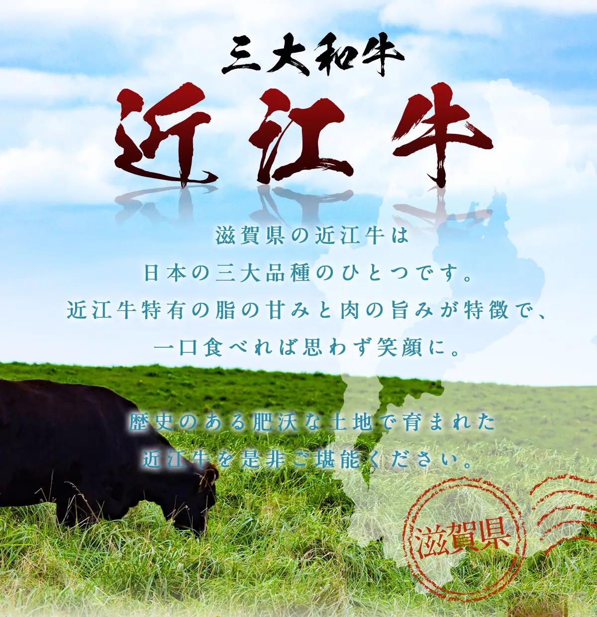 近江牛 ヒレ ブロック 1kg 牛肉 和牛 黒毛和牛 国産