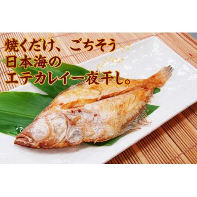 ふるさと納税 香美町 山陰名産エテカレイ一夜干し 6枚 |  | 01