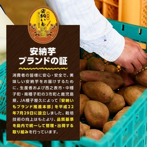n046 ＜先行予約受付中！2025年10月中旬頃より順次発送予定＞種子島産 安納芋(Mサイズ・10kg) 国産 安納芋 紅 種子島 芋 イモ いも さつまいも さつま芋 安納いも セット 詰め合わせ