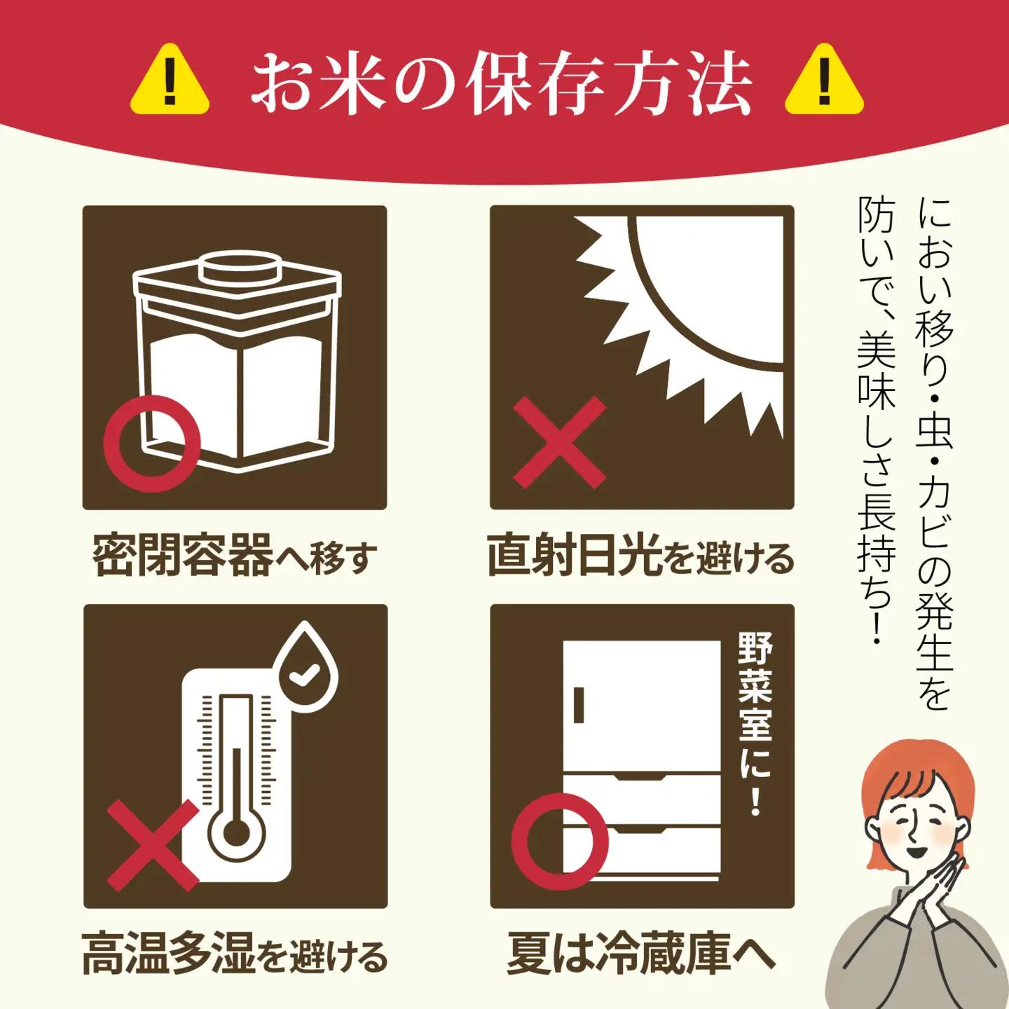 【令和8年産 新米】こしひかり  白米 10kg | コシヒカリ 