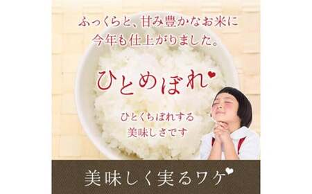 減農薬栽培 ひとめぼれ 無洗米 10kg 定期便 ６ヶ月 【716】