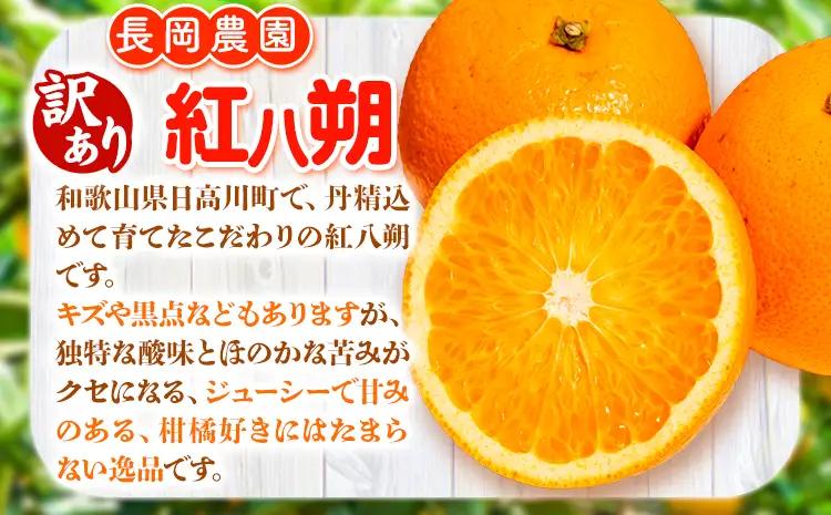 はっさく 訳あり 紅八朔 約4kg