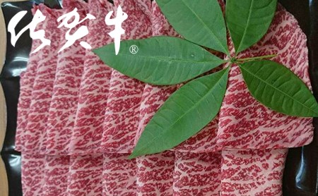 佐賀牛 A5 モモ スライス 500g _z-74