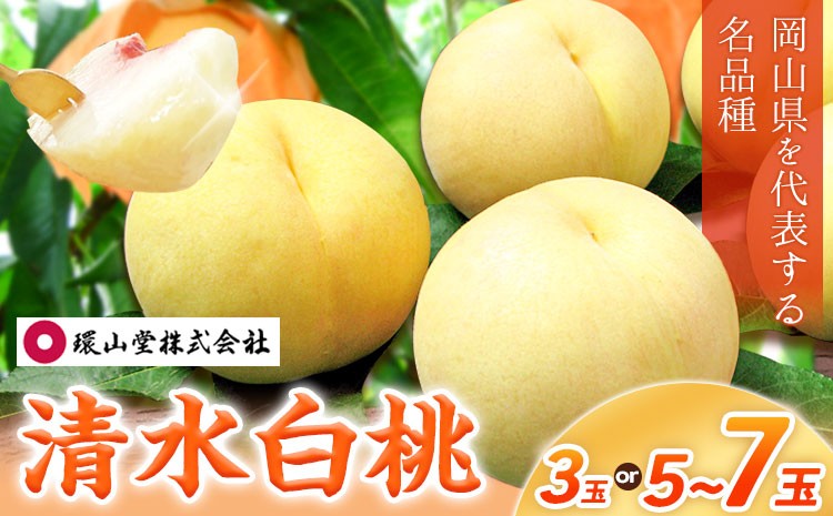 
                  【2026年先行予約】桃 もも 清水白桃 3玉 800g以上 5～7玉 約1.5kg 岡山県産 環山堂株式会社【配送不可地域あり】《2026年7月中旬-7月下旬頃出荷》岡山県 浅口市 白桃 果物 フルーツ 送料無料
                