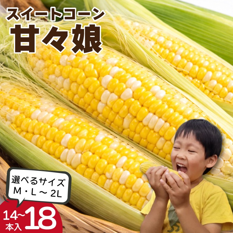 
                  とうもろこし 甘々娘 4kg以上 14本～18本 選べるサイズ L～2L M 《 2026年6月発送 》 スイートコーン かんかん娘 冷蔵 コーン 野菜 やさい 新鮮 サラダ 茹でとうもろこし 焼きもろこし 天ぷら スープ かんかんむすめ カンカン娘 BBQ 焼き肉 アウトドア キャンプ 特産品 産地直送 徳島県 吉野川市
                