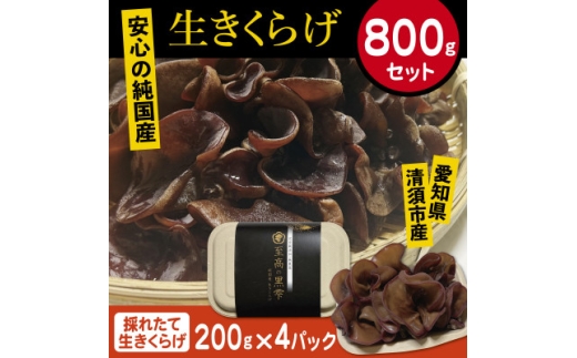 純国産　新鮮生きくらげ【1777873】