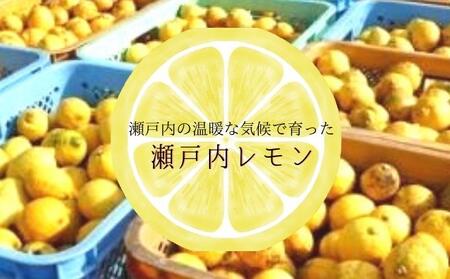 【 小豆島 】オリーヴの森 小豆島産のレモンオリーヴオイル 瀬戸内レモン 香る 贅沢だしつゆ 3本セット 柑橘 レモン 檸檬 だし つゆ  オリーブオイル ヘルシー 健康 調味料 万能 贅沢 爽やか 