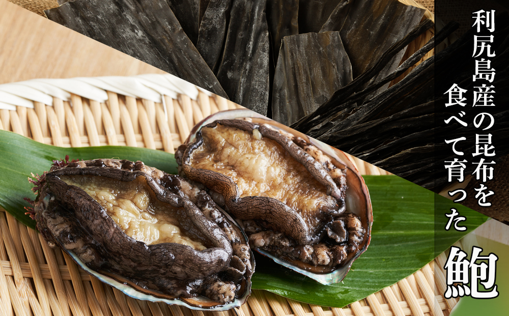 利尻島産・あわび醤油煮 ３缶《利尻漁業協同組合》