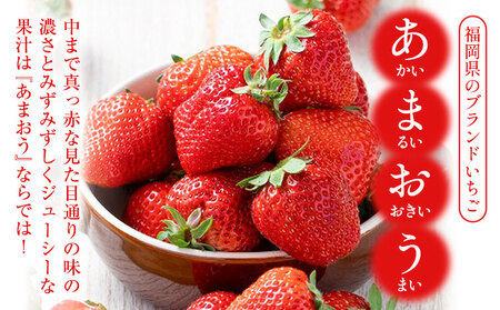 【2026年度出荷予定】福岡県産 冷凍あまおう2kg(500g×4袋) 南国フルーツ株式会社《12月中旬-3月末頃出荷》【配送不可地域あり】