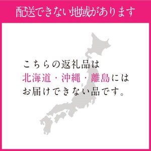 ぶどう 2024年 先行予約 シャインマスカット 晴王 2房 合計約1.2kg 岡山県産 葡萄 ブドウ ギフト ハレノフルーツ 皮ごと食べる みずみずしい