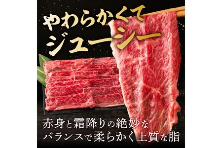 博多和牛 モモスライス【B-172】福岡県産 博多和牛 上質 肉汁 芳醇な風味 焼肉 モモスライス