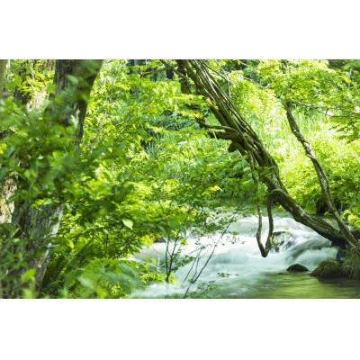 ふるさと納税 南魚沼市 令和7年産新米予約「貝瀬農園米」5割減農薬米　南魚沼塩沢産コシヒカリ　玄米5kg |  | 02