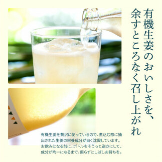 SKS051　土佐山ジンジャーエールマイルド12本セット ジンジャーエール マイルド 飲み物 セット お歳暮 御歳暮 ギフト ドリンク  大人 ジンジャー ジュース 炭酸飲料 美味しい おいしい 贈り