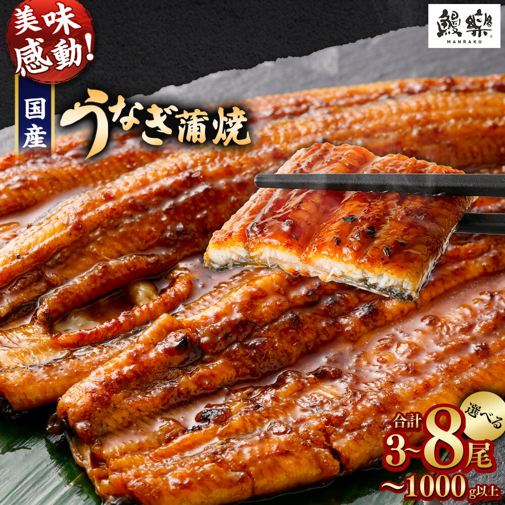 【ふるさと納税】【訳あり】極上鰻！うまい！＜国産 うなぎ 鰻 蒲焼き 3尾・4尾 ～ 5尾・6尾 ～ 8尾 330g 〜 1kg ふるさと納税 うなぎ 高級 長蒲焼 鰻 訳あり ウナギ unagi 丑の日 宮崎 高鍋町 人気 ランキング 送料無料