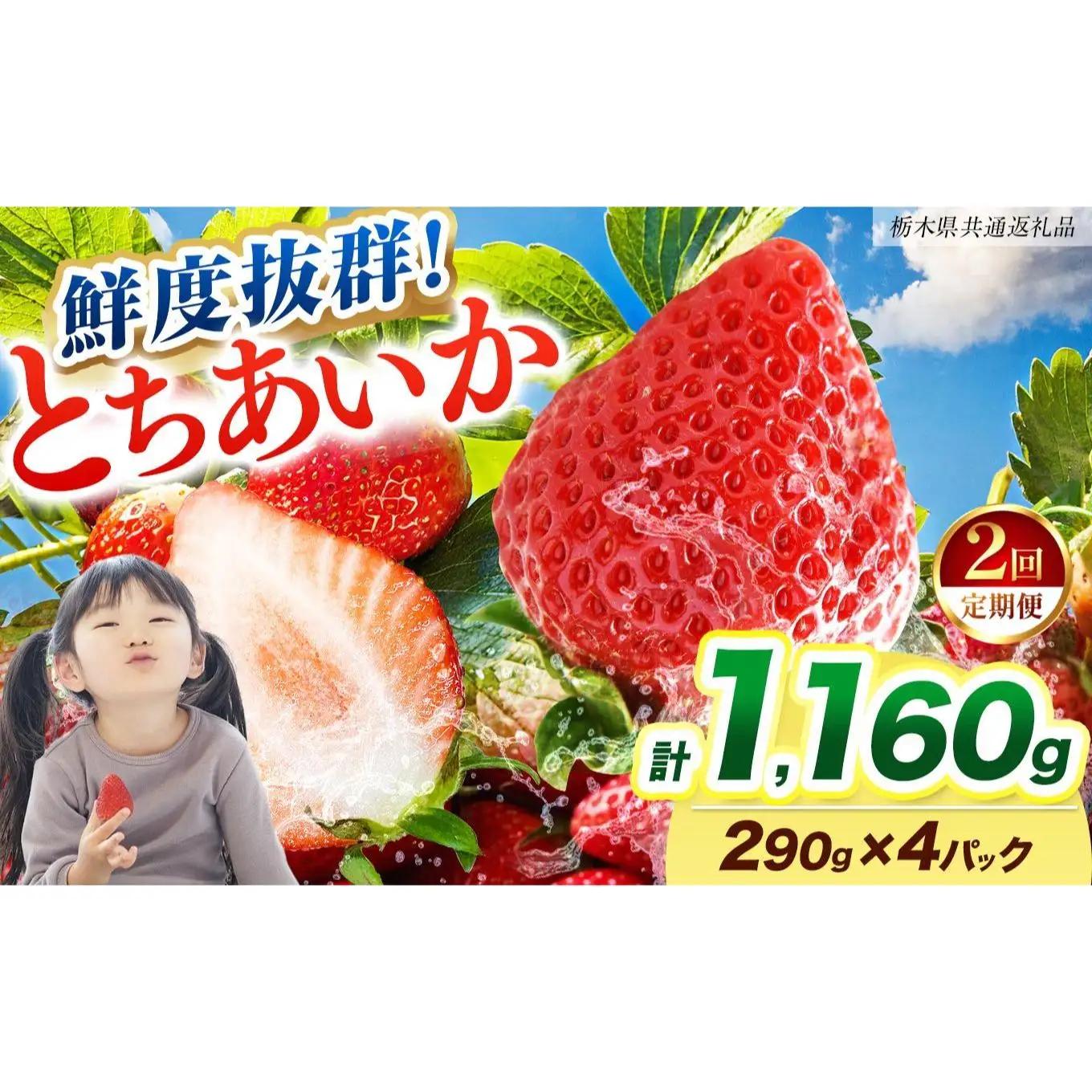  【2027年先行予約】〔定期便2回〕鮮度抜群 いちご とちあいか 290g×4P【栃木県共通返礼品】