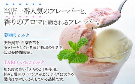 【数量限定】アイス 朝搾り ミルク TAROいちごミルク 500ml×2種 ジェラート