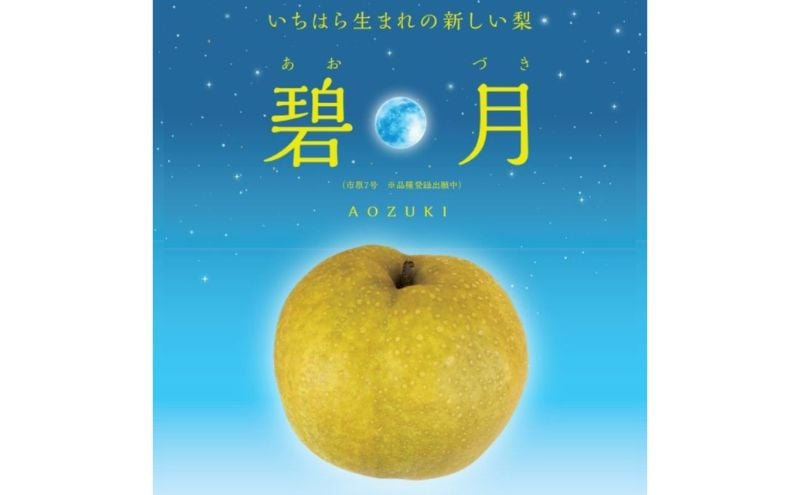 
            【限定30セット】いちはら梨オリジナル品種　碧月（あおづき）3キロ 梨 なし 希少 濃厚 オリジナル 市原市 千葉[№5689-1738]
          